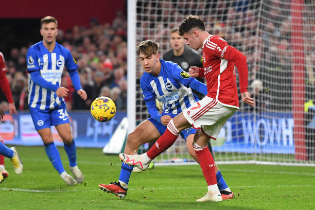 填补了一些 填补了一些