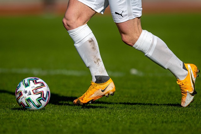 重要因素 重要因素